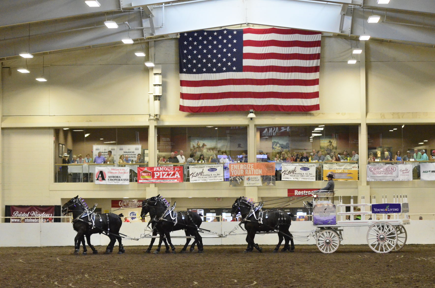8-25-19 Draft Horse Hitch Final (86).JPG